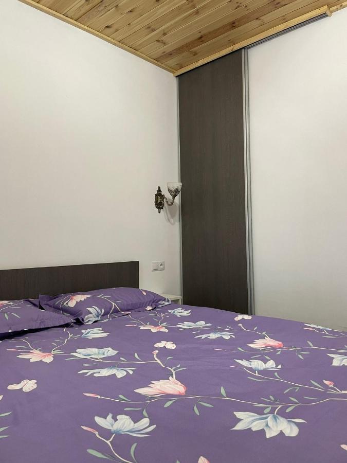 Casa De Langa Padure Hotel Sighetu Marmatiei Ngoại thất bức ảnh